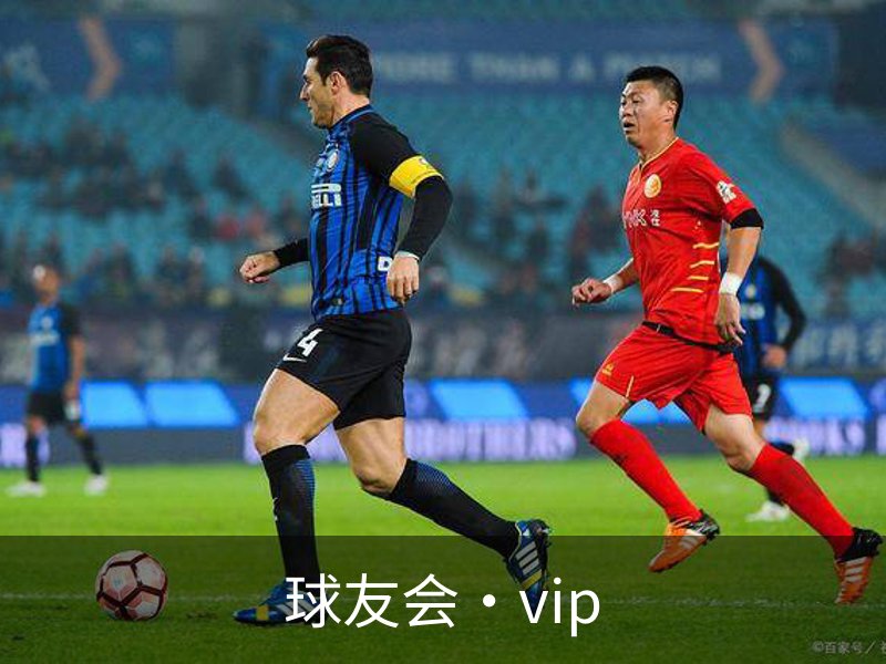 球友会·vip概况